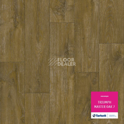 Линолеум Tarkett Triumph MASTER OAK 7 фото 1 | FLOORDEALER
